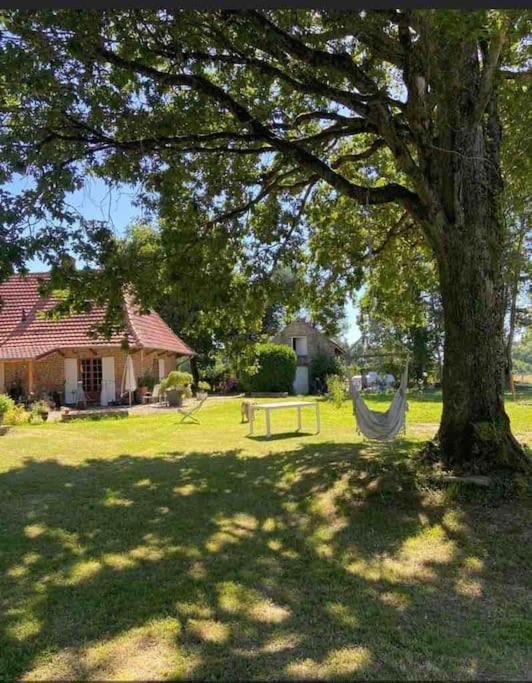 Appartement Nature Et Calme à La Chapelle-Saint-Sauveur  Extérieur photo